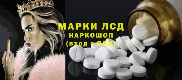 индика Баксан