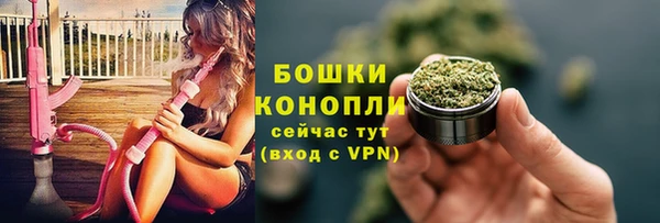 индика Баксан