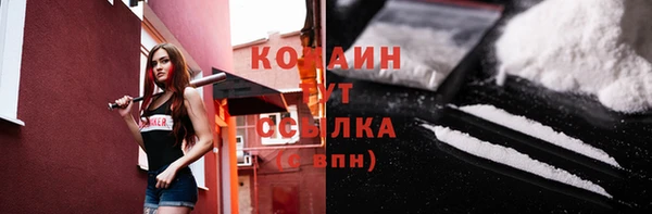 дмт Арсеньев