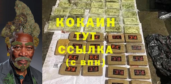 дмт Арсеньев