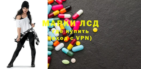 индика Баксан