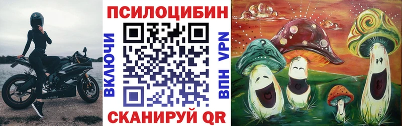 Псилоцибиновые грибы Psilocybe  Унеча 